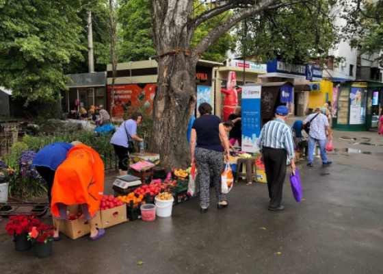 ��������������� ��������� �&nbsp;������� �&nbsp;�������� ��������� ���������� ��������: ��������� ������������ ���������� &nbsp;