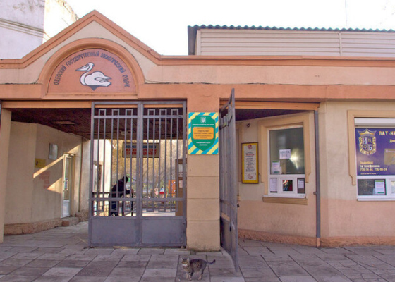 ����������� ���������� ������, �&nbsp;������� �������� ����������������� �������: ��������� ��������� �������� ������� ����� ������� 