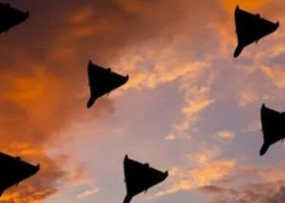 ����&nbsp;����� ������ ��&nbsp;���������� ��������: ����� 50&nbsp;����� ����� ���&nbsp;����� 