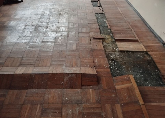 ����������� ��������� ��������� �������������, �&nbsp;���&nbsp;������� &laquo;�����������&raquo; ������ ��&nbsp;������� ������� ���������� ����� (�������) 