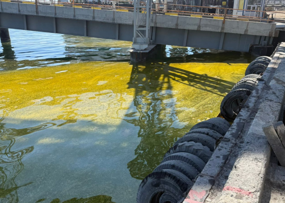 �������� �&nbsp;������� ���&nbsp;����� �����������: �&nbsp;����������� ����������� ���������� ������ ����� ����� ����� ��&nbsp;(����, �����) 