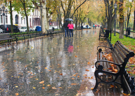 �����, ��&nbsp;�����: �&nbsp;������ �&nbsp;������� ������������ ����� ������ ������ 