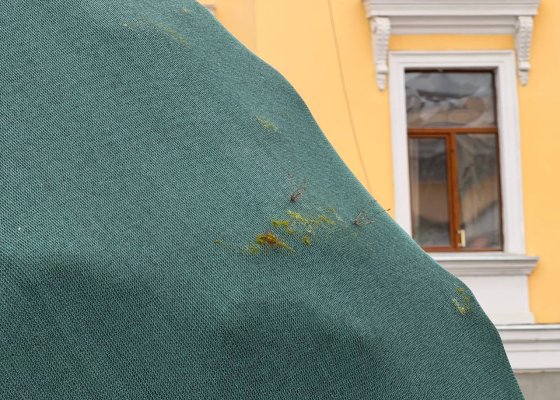 ���&nbsp;����������� ���� �&nbsp;������ ������������ ���������: ���&nbsp;���������� &laquo;�����������&raquo; ������ ������� ������ 