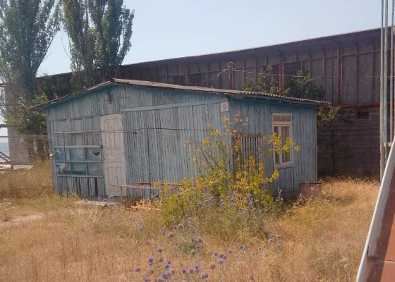 ������������ �&nbsp;������: ��&nbsp;�������� ��&nbsp;������� �������� ������� ����������� ���� ������ (����) 