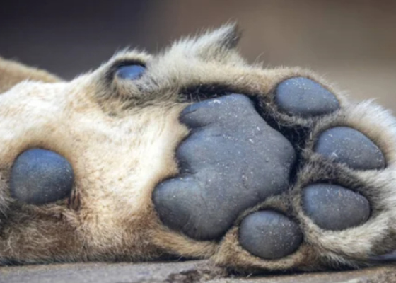 �&nbsp;�������� �������� ������ ������: ��������� ������� �&nbsp;������� ����� ��������� 