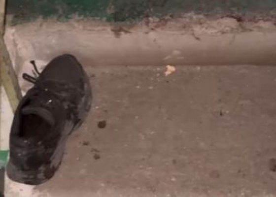 ������� �������� ������, ������� ������� �������� ����: ����������� ������ �&nbsp;�������� ����������� 