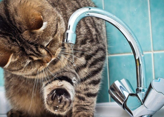 ��-�� ���������� �������������� ���&nbsp;������ ������ �&nbsp;��������� �������� ���&nbsp;���� 