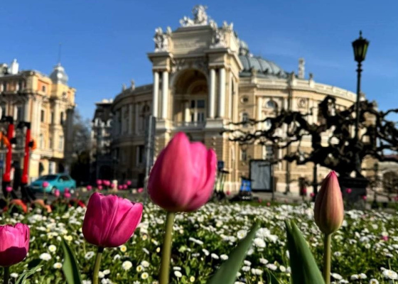 ����&nbsp;������� ��������: �&nbsp;�������� ������� ��������� ��&nbsp;17&nbsp;�������� 