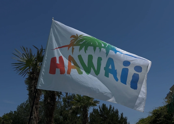 ��&nbsp;������ �����: ���&nbsp;������� ���������� ������ �������� Hawaii (��&nbsp;������ �������) 
